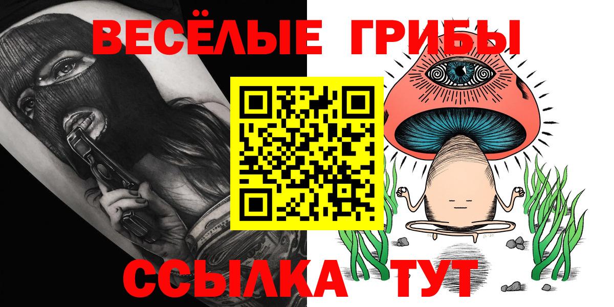 даркнет сайт  Галлюциногенные грибы Cubensis  Вход с VPN  Большой Камень 