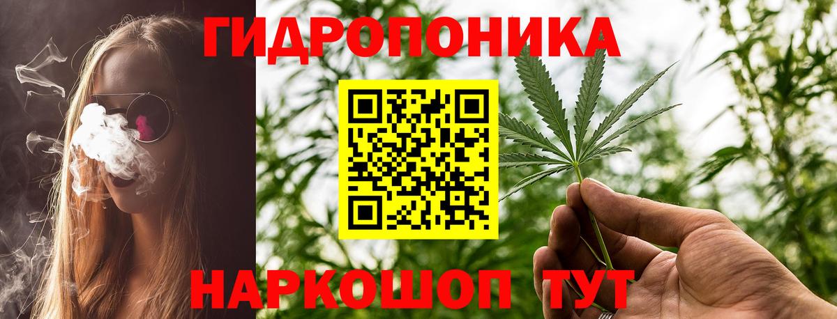 Конопля индика Большой Камень